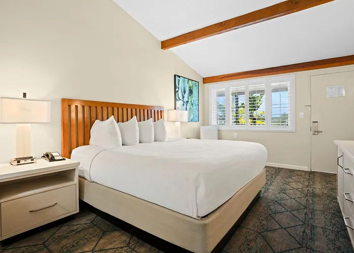 The Dana On Mission Bay